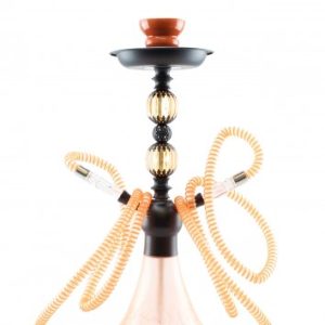 budget shisha oranžno drevo